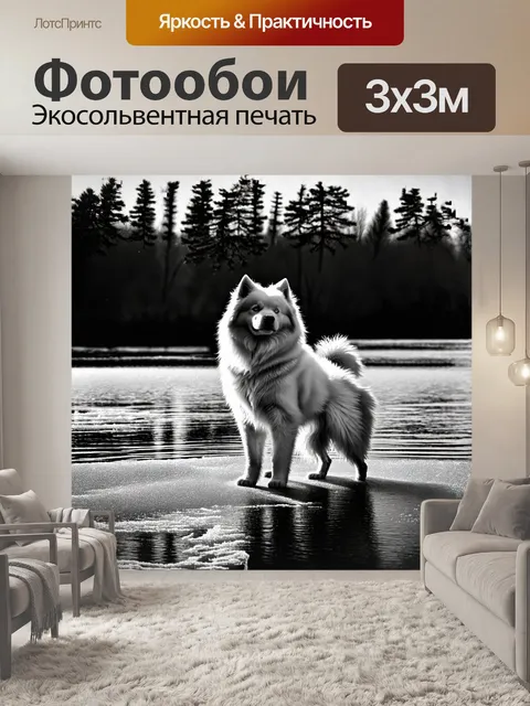 Фотообои самоед стоит на краю ледяного озера