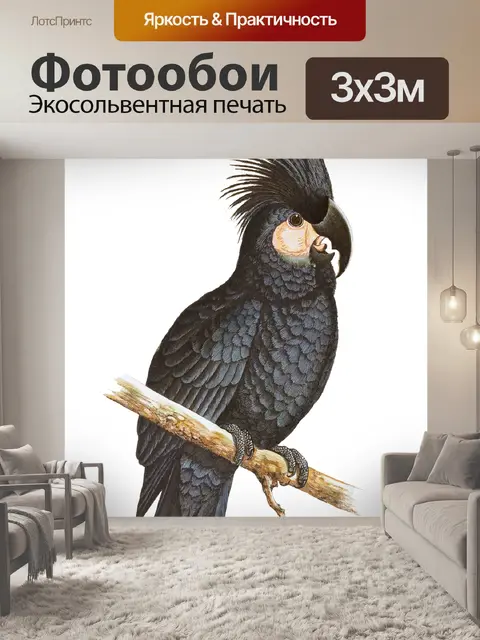 Фотообои Черный какаду винтажное искусство