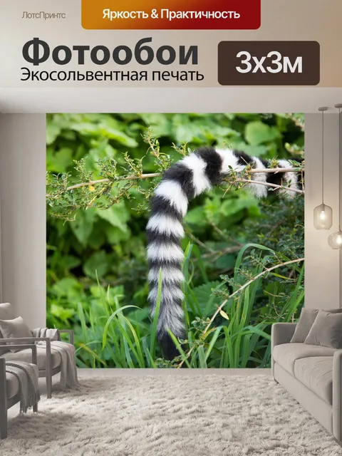 Фотообои Кольцо хвост