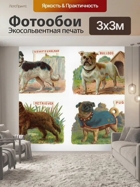 Фотообои 4 красивые собаки викторианской обрывки