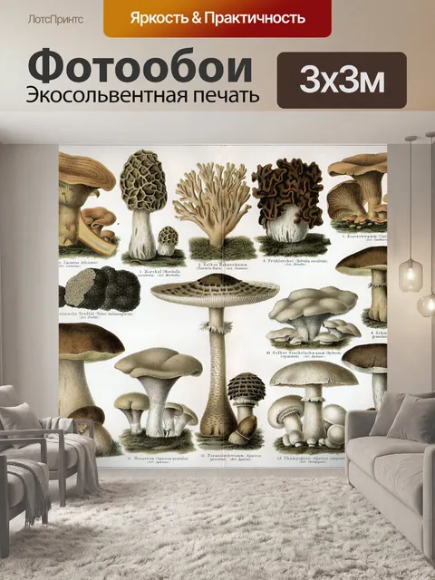 Фотообои Грибы доске винтаж illustratio