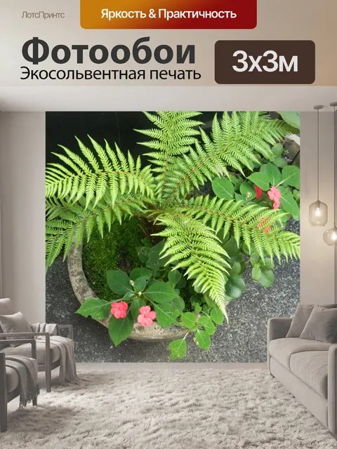 Фотообои Сад Папоротник в горшке