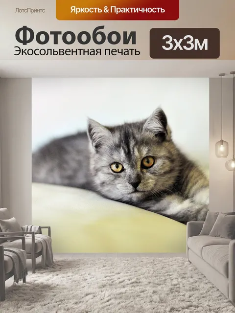 Фотообои Кошка