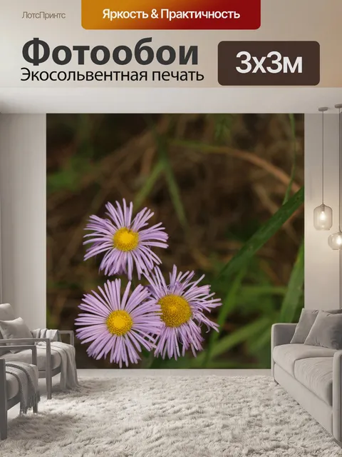 Фотообои Полевые цветы Фиолетовый