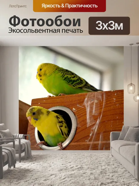 Фотообои Птица семьи