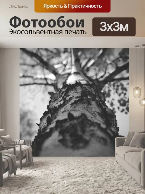 Фотообои Дерево