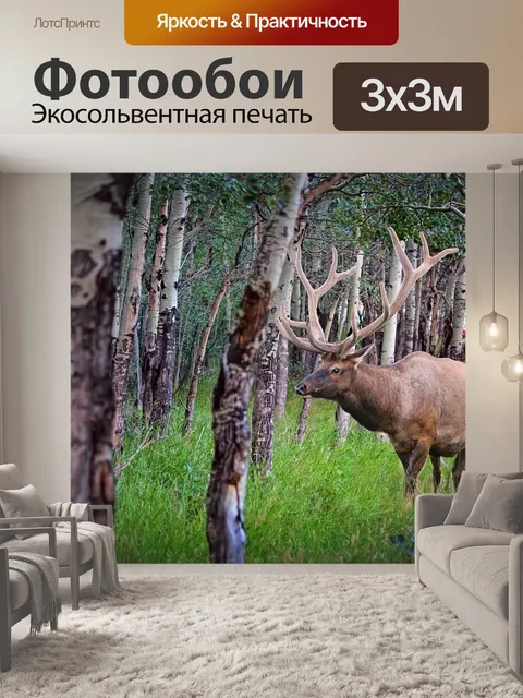 Фотообои Лось