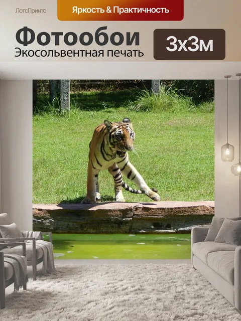 Фотообои Тигр