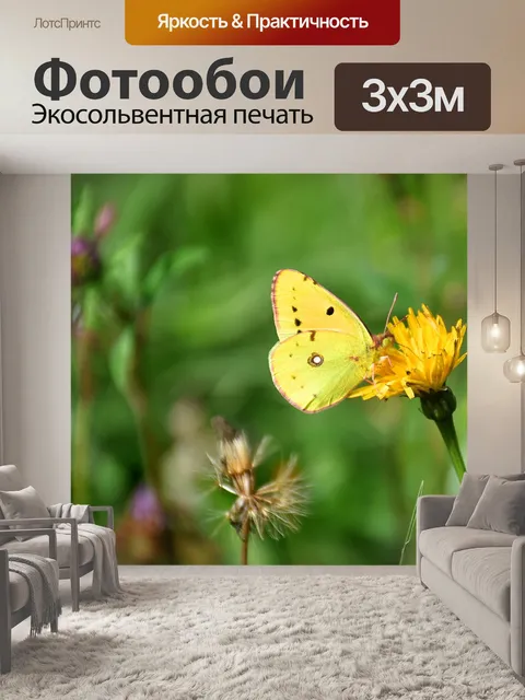 Фотообои Бабочка