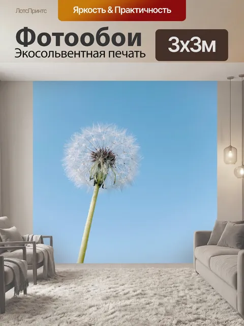 Фотообои Одуванчик