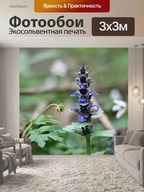 Фотообои Лес
