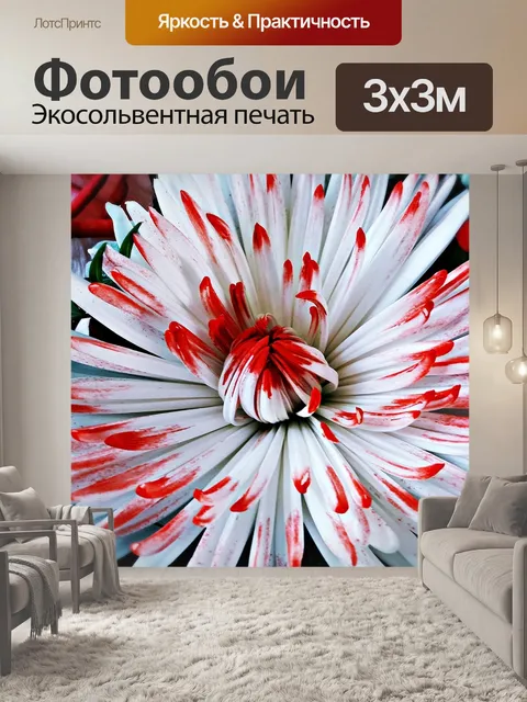 Фотообои Цветок