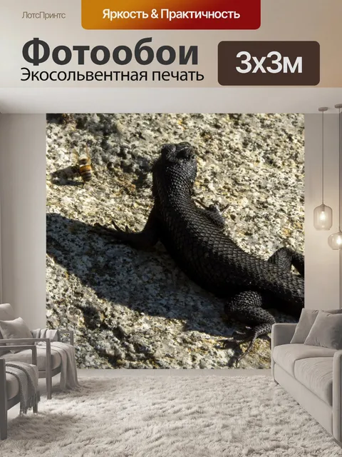 Фотообои ящерица