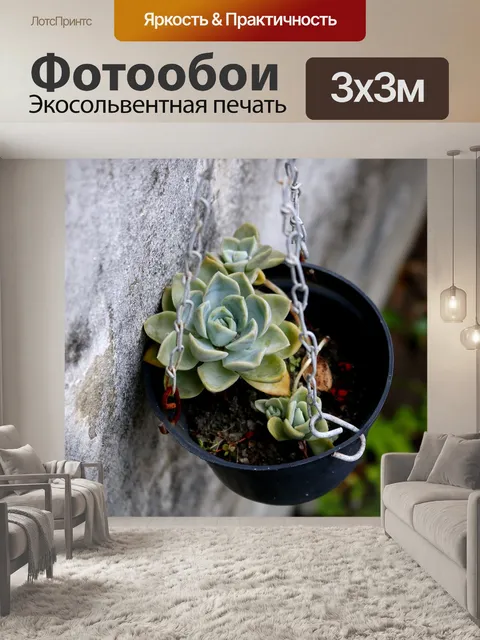 Фотообои Камень розы