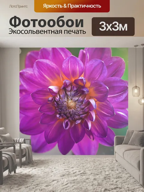 Фотообои Цветок георгина цветок розовый