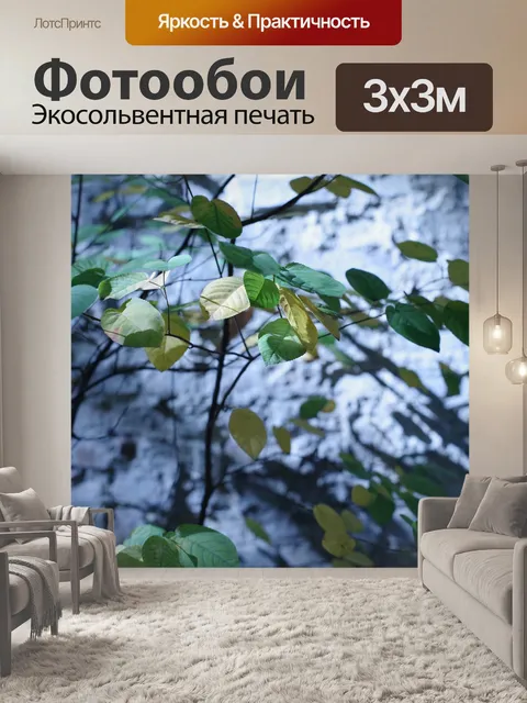 Фотообои Тень