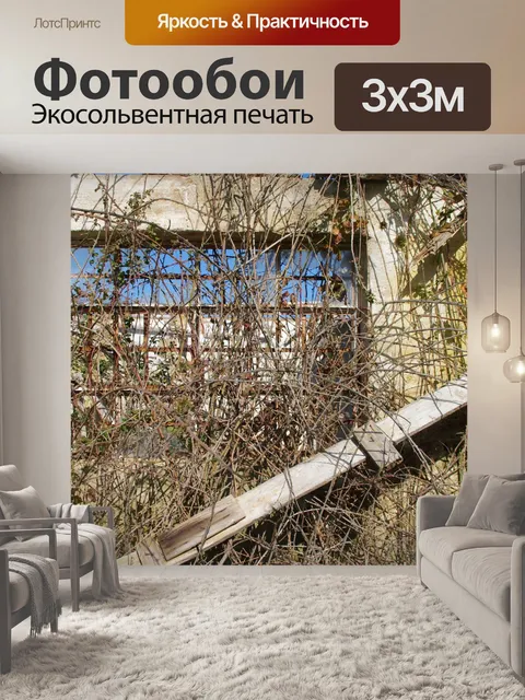 Фотообои Заросший сад