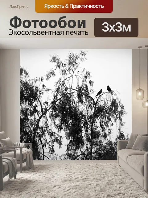 Фотообои Тусоваться