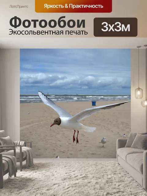 Фотообои Чайка