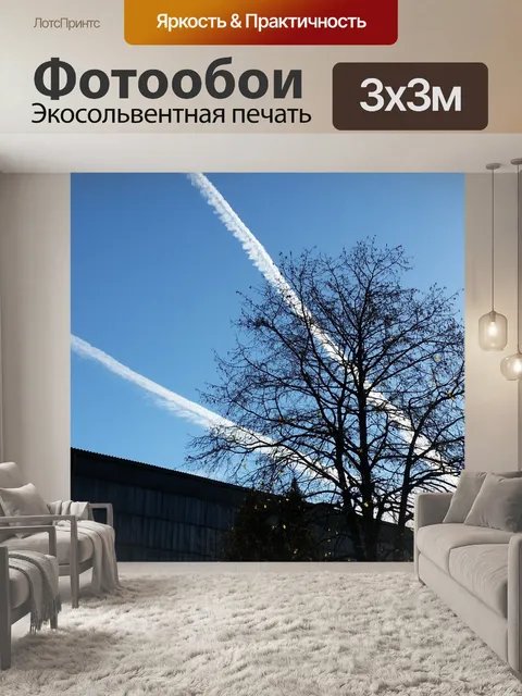 Фотообои Дерево