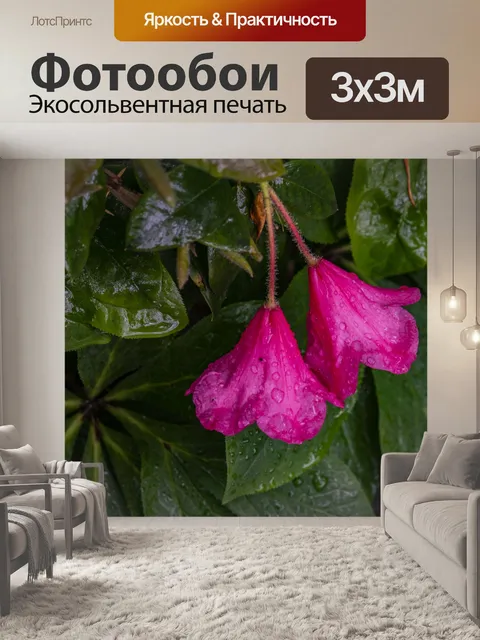 Фотообои Капли дождя на цветах