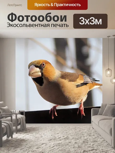 Фотообои Вишневое дерево