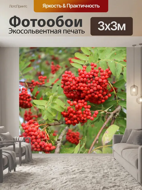 Фотообои Осень