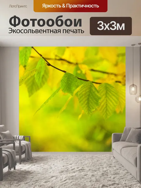 Фотообои зеленые и желтые листья бука