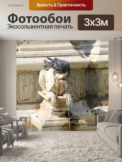 Фотообои Голубь