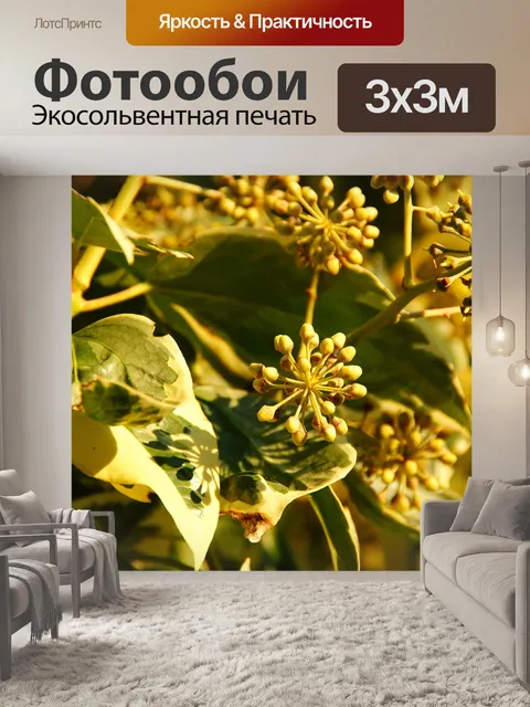 Фотообои Листья