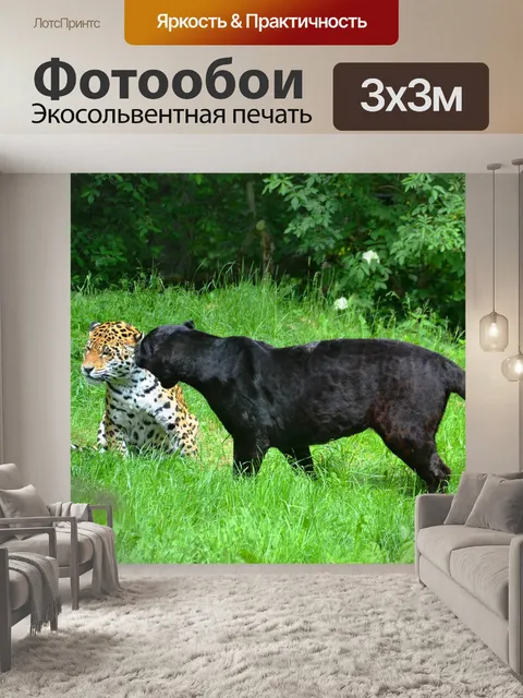 Фотообои Пантер