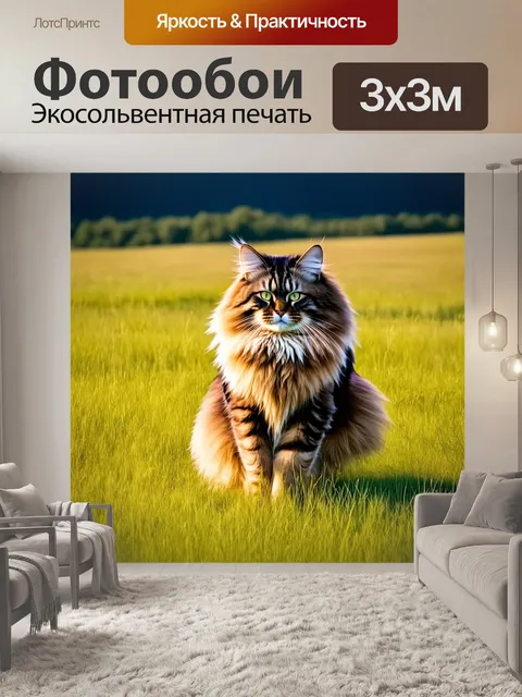 Фотообои большой мейн-кун в высоком травяном поле, его шерсть колышется на ветру