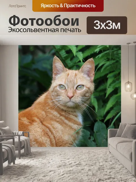 Фотообои Кошка