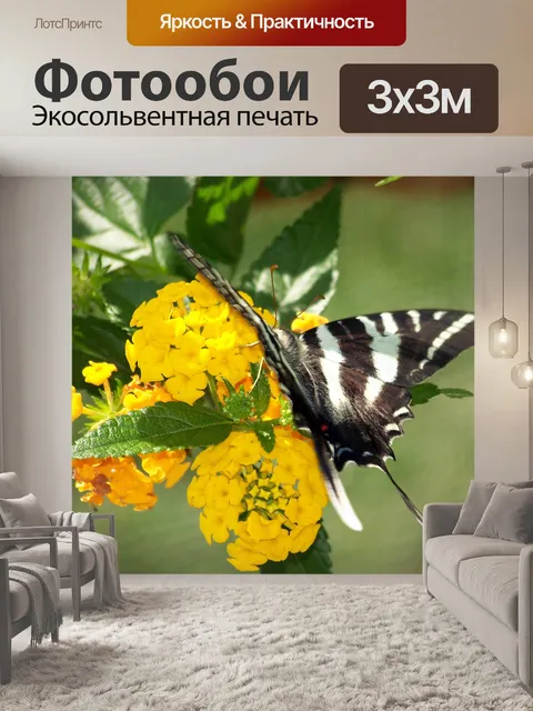 Фотообои Бабочка на желтыми цветами
