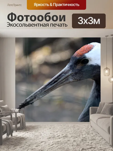 Фотообои Японский журавль