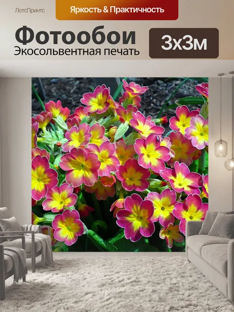 Фотообои Первоцветы