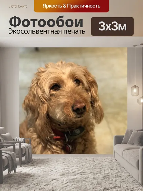 Фотообои Золотой каракули