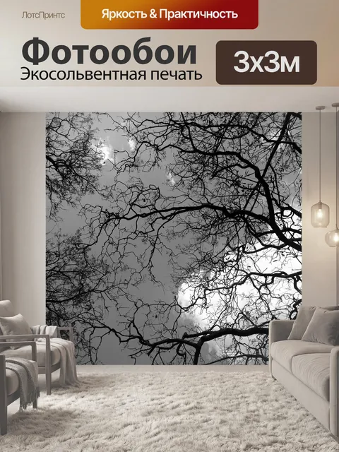 Фотообои Тень