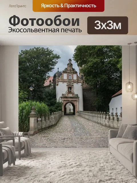 Фотообои Вход