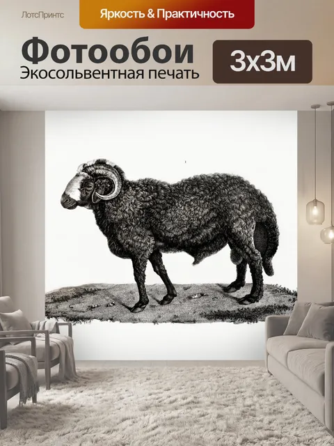 Фотообои Овца животное старинное искусство