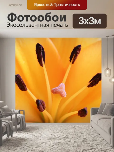 Фотообои Закрыть
