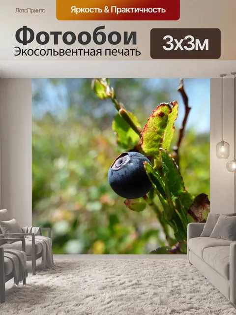 Фотообои Черника