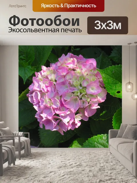 Фотообои Гортензия