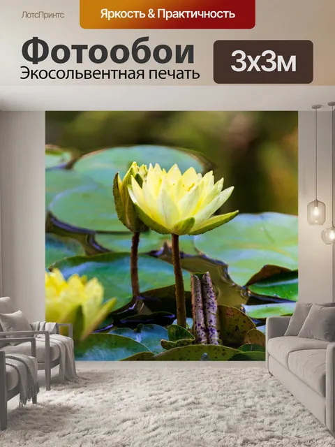 Фотообои Цветок