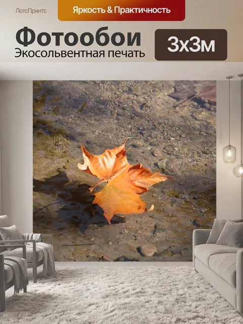 Фотообои Золотой осенний лист, плавающий в потоке