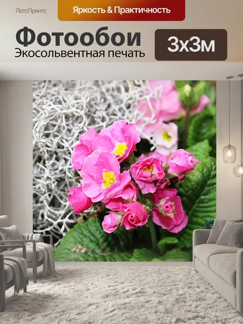 Фотообои Первоцвет