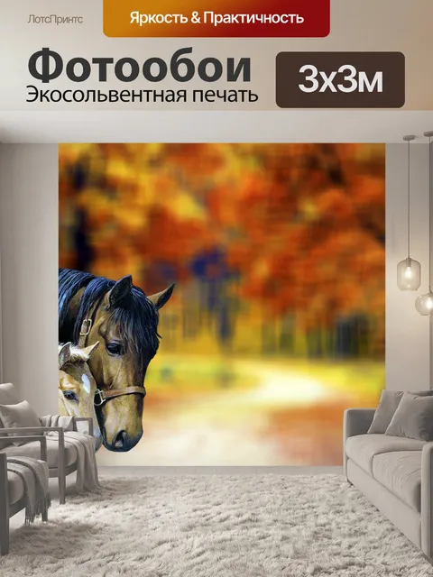 Фотообои Лошадь
