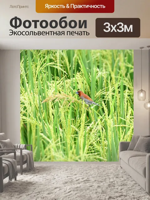 Фотообои Убуд