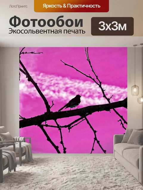 Фотообои Силуэт птицы
