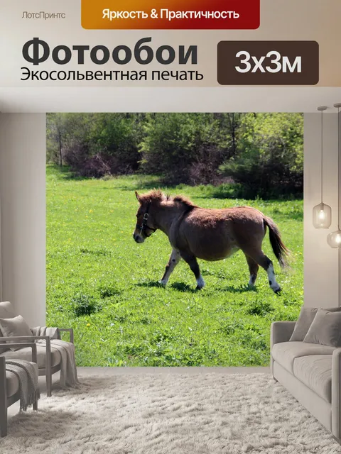 Фотообои Миниатюрный пони